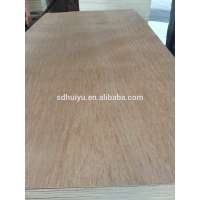 5.2mm BB/CC grade Bintangor plywood for Furniture