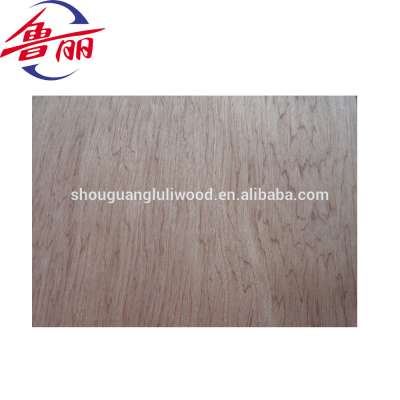 BB/CC Grade Bintangor Plywood for furniture usage